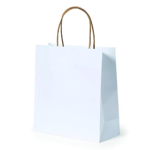 Recycled Twist Handles Paper Bag 22 x 23 x 9 cms