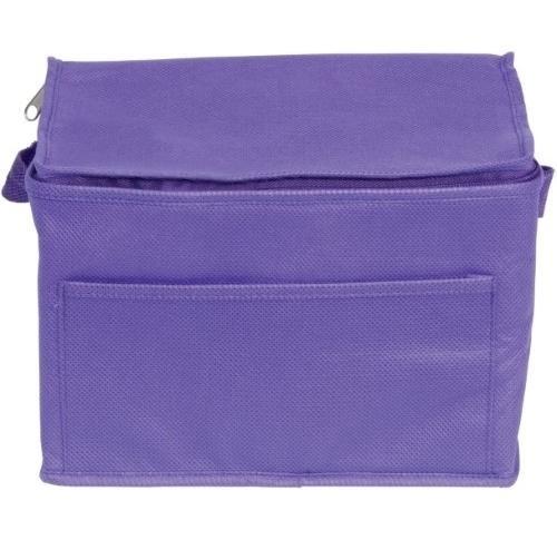 Rainham 6 Can Cooler Bag- Purple 