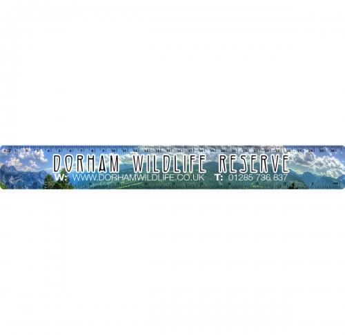 Promotional Ruler  