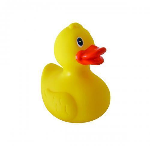 Duck - Squeaky