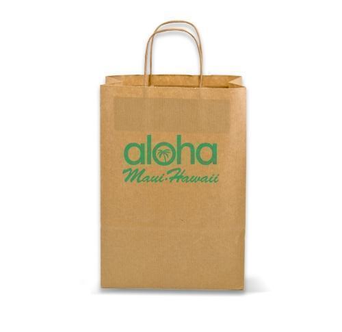 Twisted Paper Handle  Carrier Bag - Recycled Paper