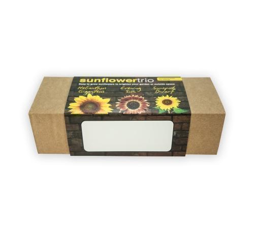 Green & Good 3 In 1 Indoor Garden Sets - Sunflower