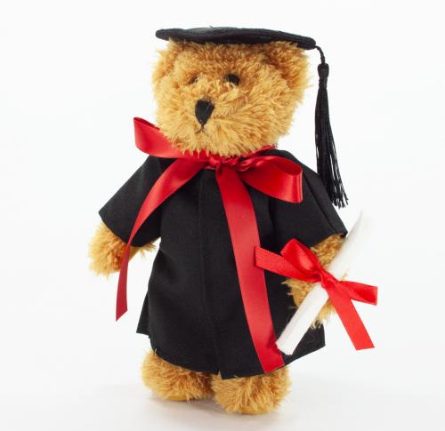 Printed Graduation Jointed Teddy Bears 20cm Cap 'n' Gown