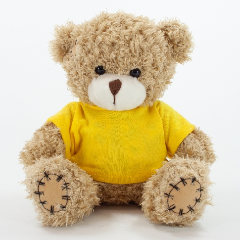 18cm Teddy Bears With Logo T-shirts - Paw
