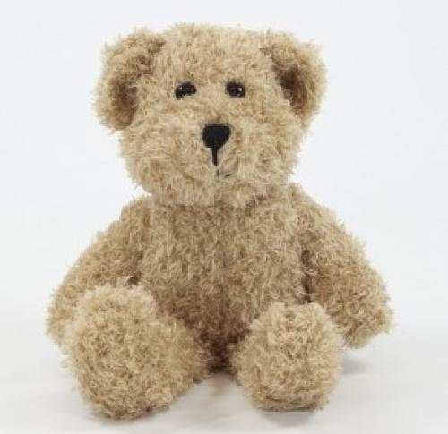 25cm Scruffy Bear