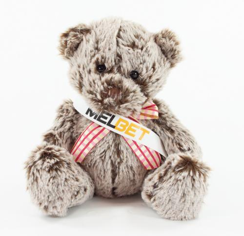 Custom Teddy Bear 15cm Premier Range Sash