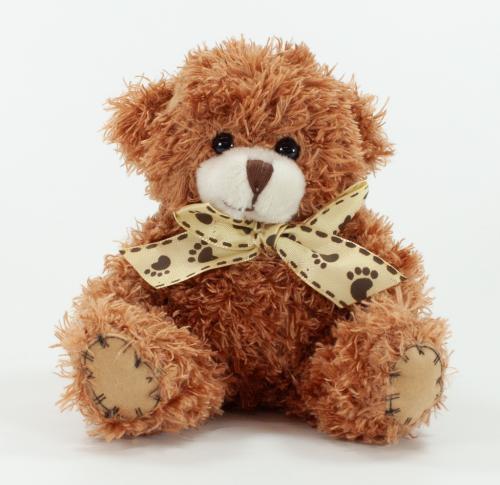 Custom Teddy Bears  - Paw 12cm Plain
