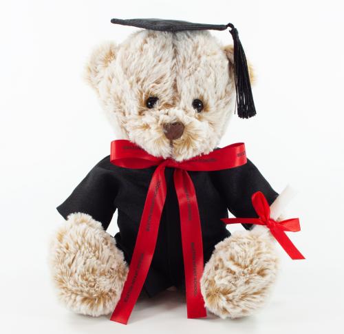 Graduation Bear 20cms Premier Fudge Plush Soft Toy
