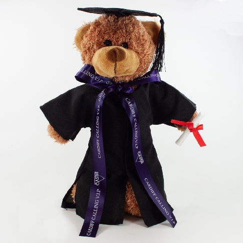 30cm Barney Soft Plush Teddy Bear Printed T Shirt