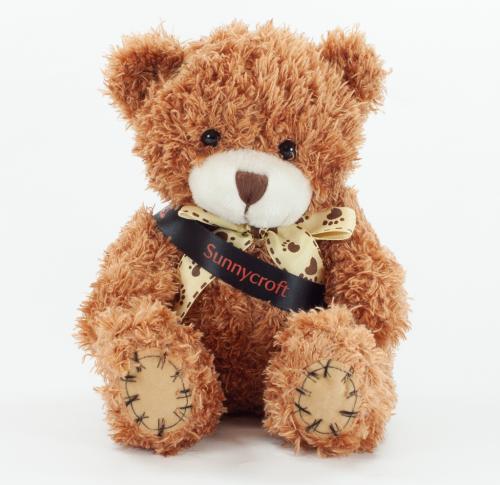 18cm Promotional Sash Soft Plush Paw Teddy Bears