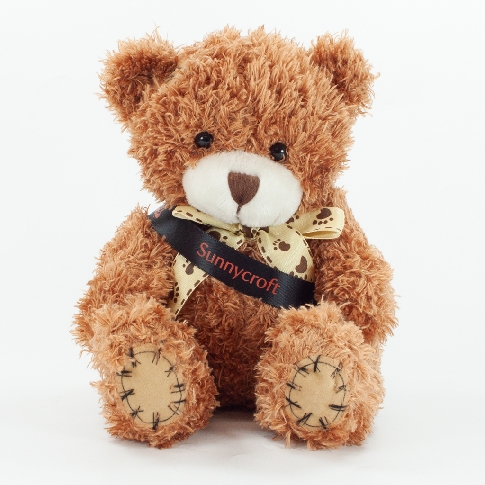 18cm Promotional Sash Soft Plush Paw Teddy Bears