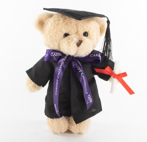 25 cms Graduation Bear Soft Plush Toy Alfie