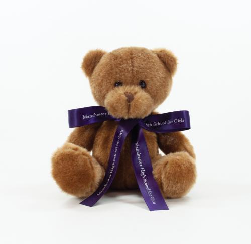 12cms Scout Teddy Bears Custom Logo