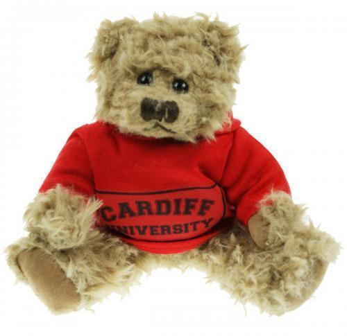 Windsor Bear 20cm Hoody
