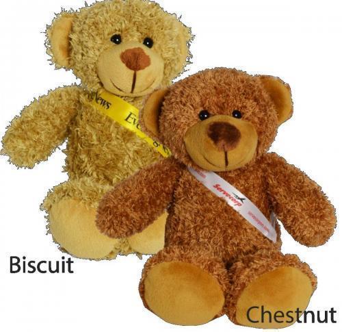 30cm Barney Bear