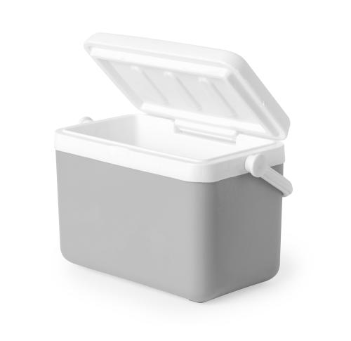 Promotional 4 Litre Plastic Cooler Boxes Hinged Lids