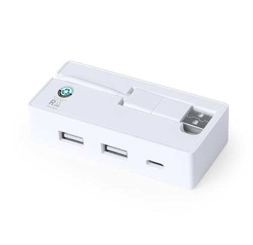 Promotional USB Hubs 2 USB Ports Type C Input Gift Boxed