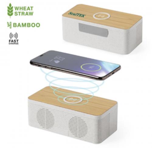 Charger Speaker Trecam