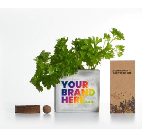 Trendy Urban Concrete Grow Kit 