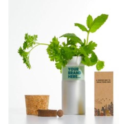 Eco Desktop Garden - Herb Mix - Silver