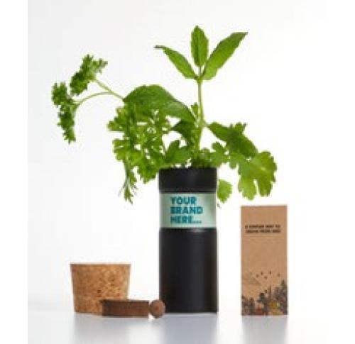 Eco Desktop Garden - Herb Mix - Black Aluminium