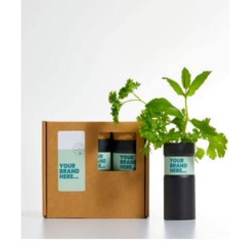 Desktop Garden - Box Of Three - Herb Mix - Black
