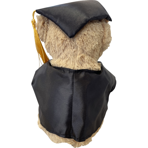 Customised Plush graduation bears, Hat, Gown, Paper