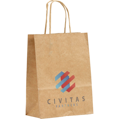 Promotional Printed Twisted Hande Paper Bag (A5)