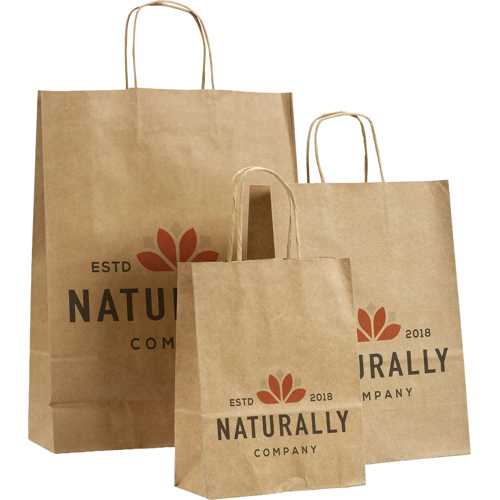 Promotional Printed Twisted Hande Paper Bag (A5)