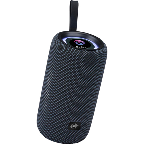 Portable 16W Wireless Speaker