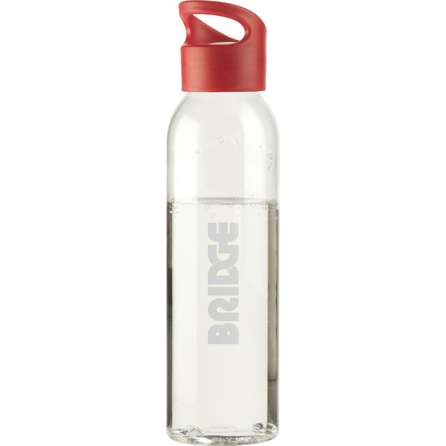 RPET Drinking Bottle (650 Ml)