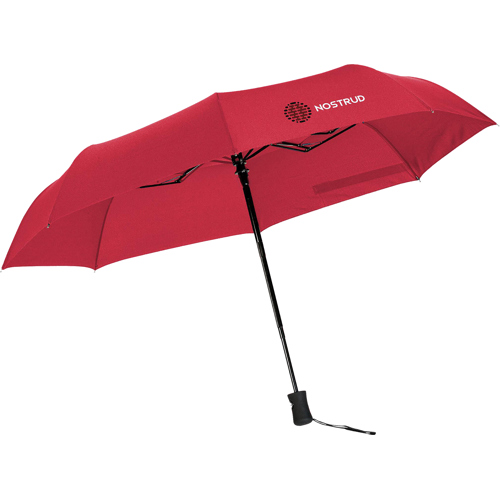 Automatic Telescopic Umbrella 21