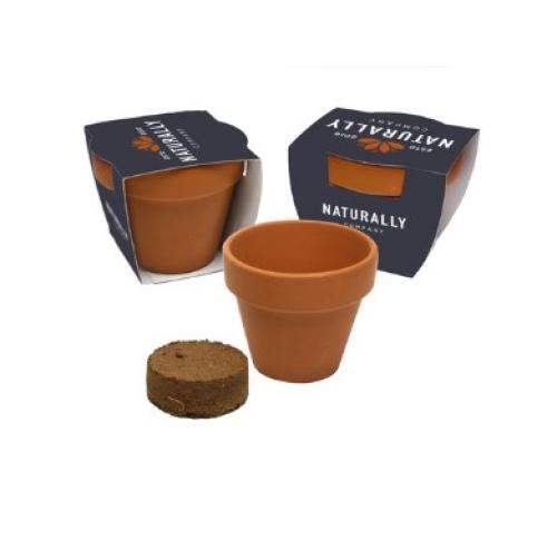 Eco Wildflower Mix Terracotta Pot Flower Seeds 