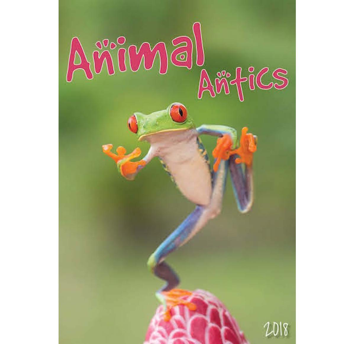 Wall Calendar 2025 Animal Antics Buy Promotional Products UK