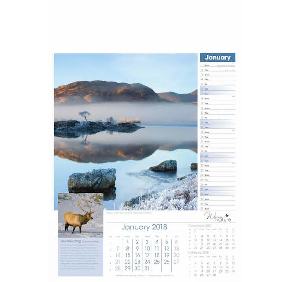 Wonders Of Nature Wall Calendar 2025 Buy Promotional Products UK