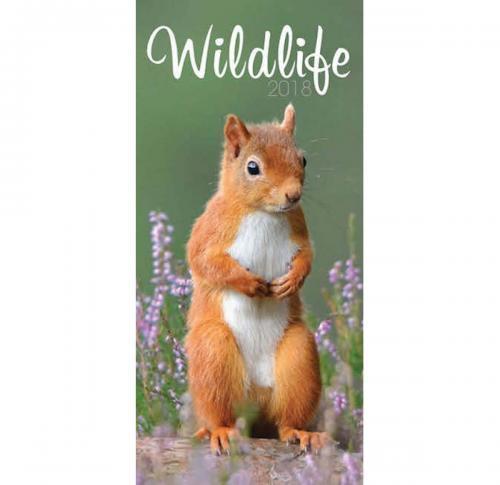 Wildlife Slim Wall Calendars 2025