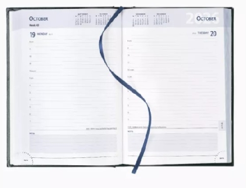 Foil Blocked A5 Desk Diaries 2026 Padded Cover Nero
