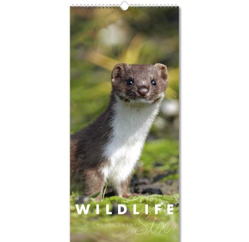 Wildlife Slim Wall Calendars 2026