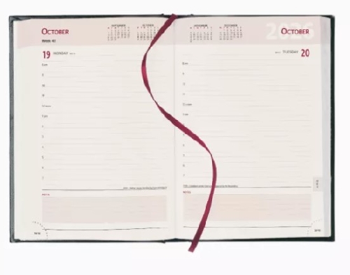 Promotional Page A Day A5 Desk Diaries 2026 - Strata Cream Paper Padded
