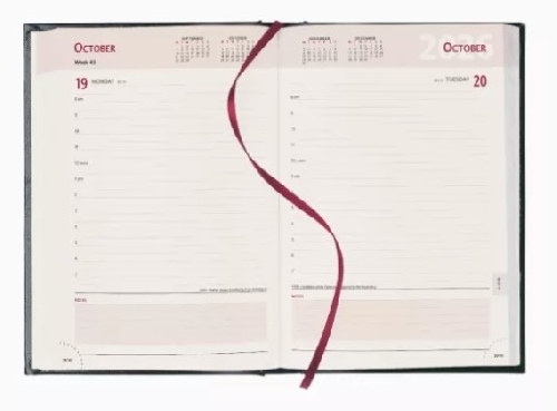 Embossed A5 Page A Day Desk Diaries 2026 Padded Cover
