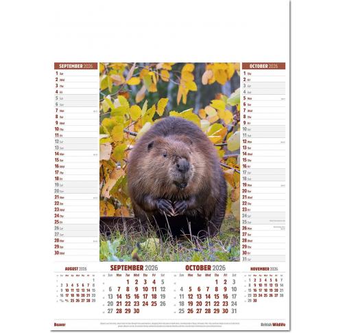 Printed Logo 2026 Wall Calendars British Wildlife 