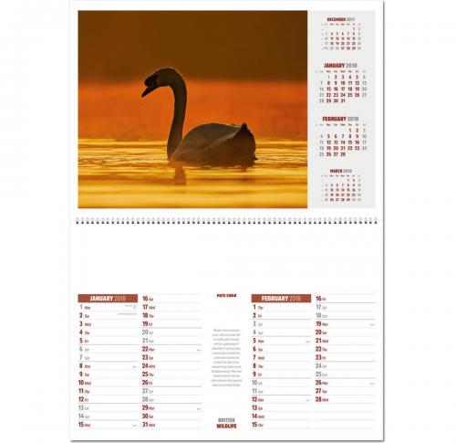 Custom Printed British Wildlife Wall Calendars 2025