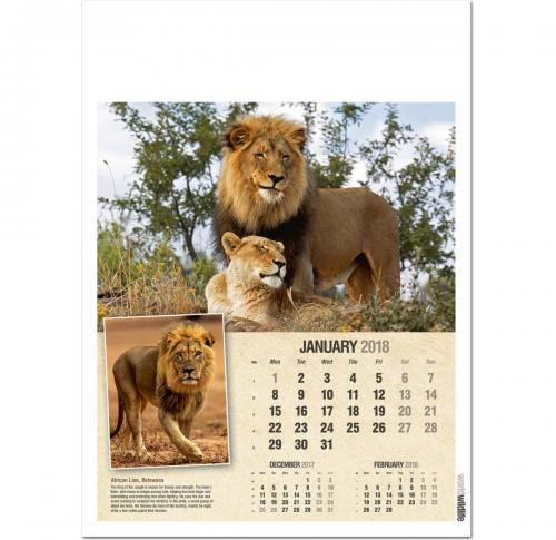Custom Printed World Wildlife Wall Calendars 2025