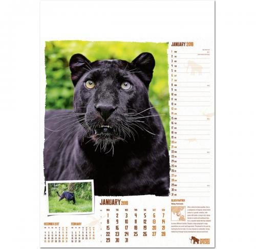 Custom Printed Endangered Species Wall Calendars 2025