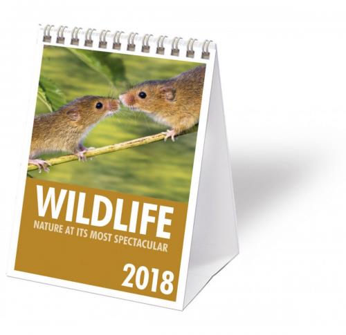 Custom Printed Wildlife Mini-Desk Calendars 2025