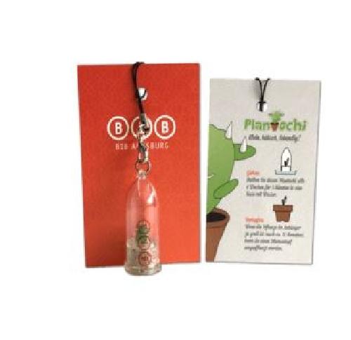 Eco Cactus Keyring - Grow Your Own Cactus