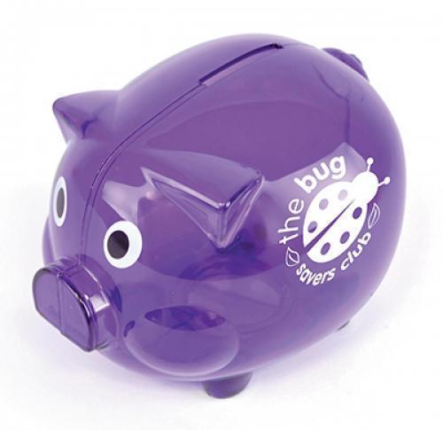 Plastic Piggy Bank