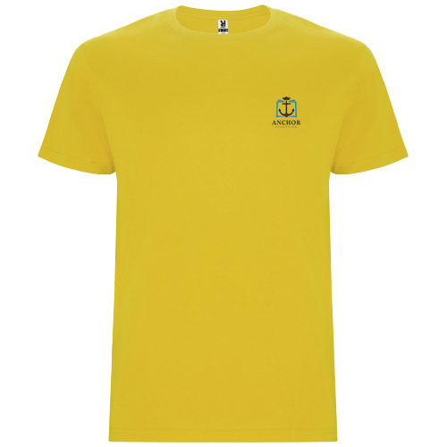 Roly Branded Stafford short sleeve kids t-shirts