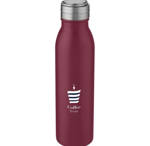 Custom Stainless Steel Sports Bottles With Metal Loop 700 Ml 