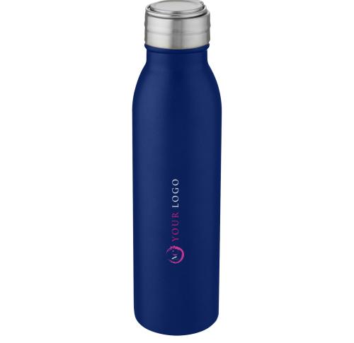 Custom Stainless Steel Sports Bottles With Metal Loop 700 Ml 